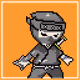 crypto ninja dot.ver