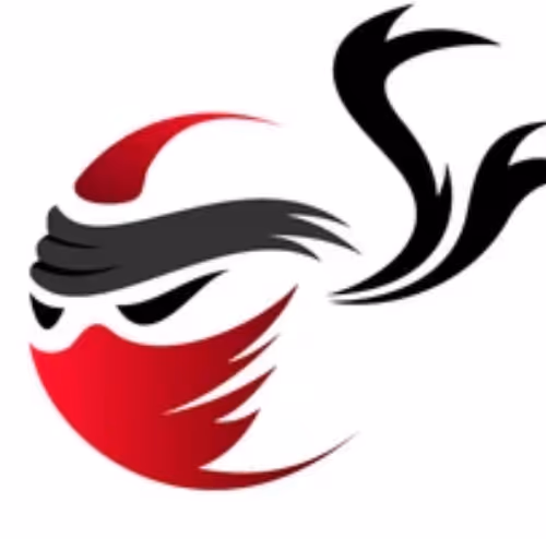 Crypto Ninja Ho - old