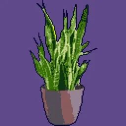 CRYPTO Plant of the day