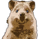Crypto Quokkas