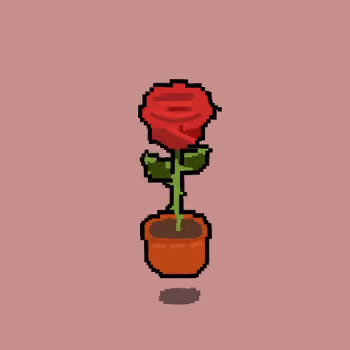 Crypto Rose Nation
