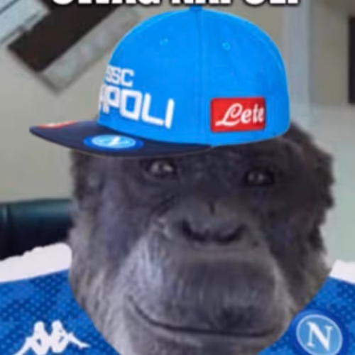 Crypto Scimmie Napoletane - Limited Edition