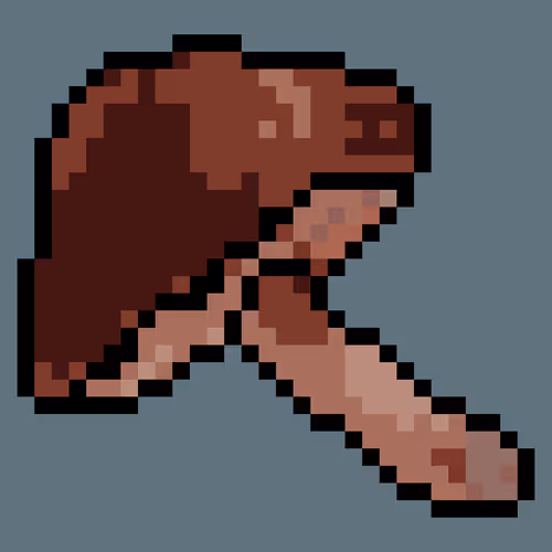 crypto-shiitake Collections