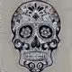 Crypto Skulz