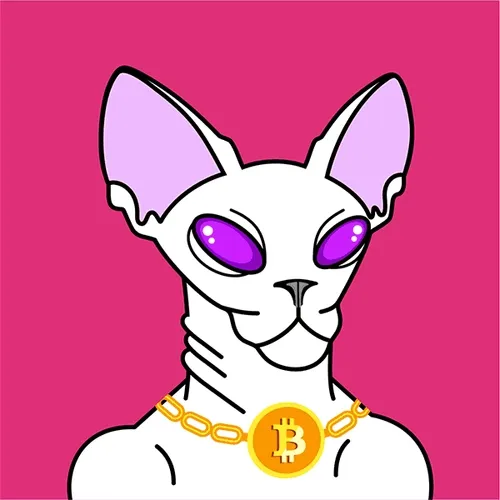 Crypto Sphinx Cat