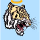 CRYPTO TIGER TEAM