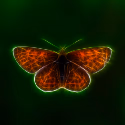 Crypto_Shining_Animals - old