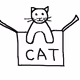 Crypto Box Cat