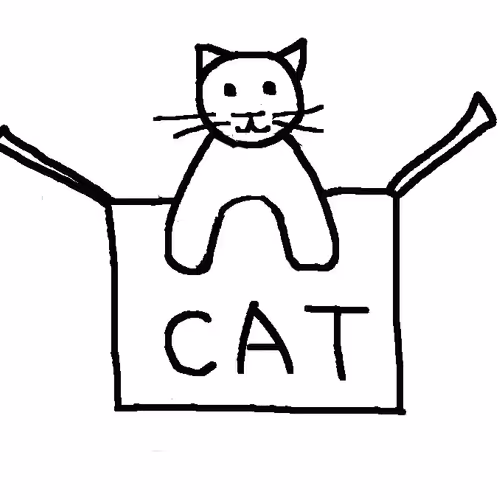 Crypto Box Cat