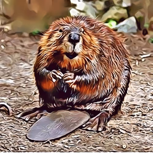 CryptoAnimals - YprFcceGp8 - old