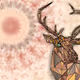 CryptoAnimalsPolygonaL - old