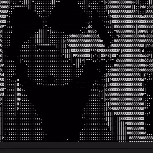 CryptoASCIIPorn - old