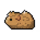 CryptoBabyGuineaPigs Collection