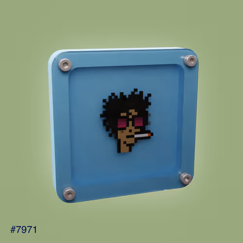 cryptobitch ... cryptopunk #7971