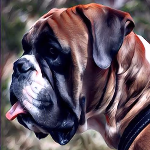 CryptoBoxer Dog
