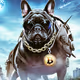 CryptoBulldogs V2 Limited Edition