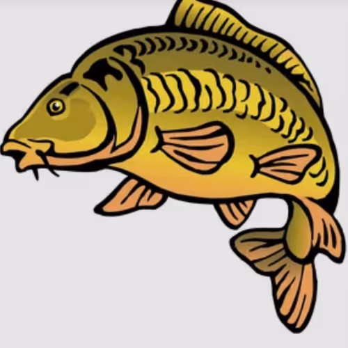 Crypto Carp Club