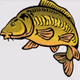 Crypto Carp Club