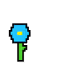 Cryptodaisies - old