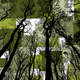 CryptoForest Department