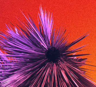 Cryptogradients - old