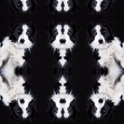 BlackJack Cards - old - old