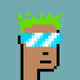 CryptoLand Punks