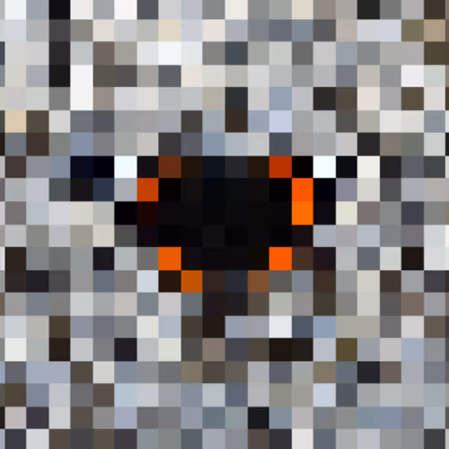 Crypto FUNgibles - old