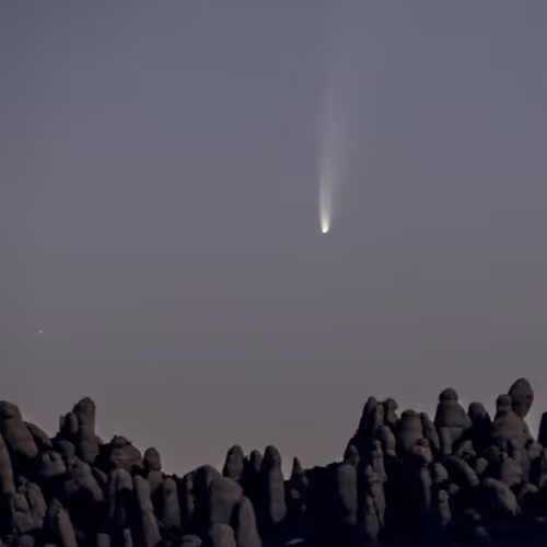 Cryptonic.1