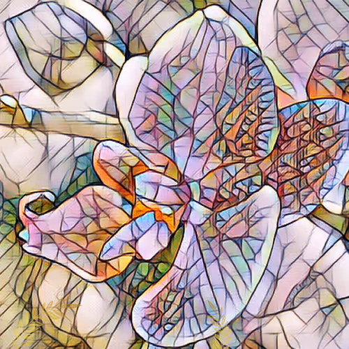 Crypto Orchids