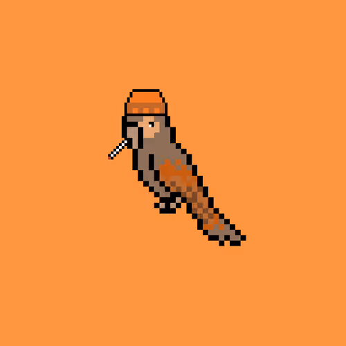 Cryptoparrot