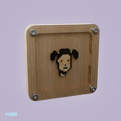 cryptopunk #8105       ( this is the start of #boxedpunks ... all are deleted only two girls left )