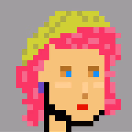 CryptoPunks-H collection