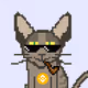 CRYPTOROBOCAT - old