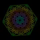 CryptoSpiders Genesis