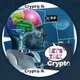 CryptotalkArt NFTs Polygon