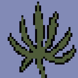 CryptoWeed NFTs - old