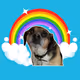 CryptoWeirDog