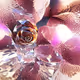 Crystal Roses