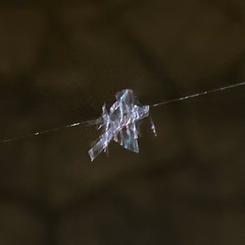Crystal_Limited_Edition