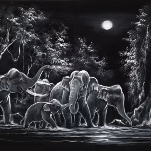 CSDS_CRYPTO Collection