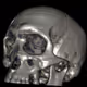Project CT skull - old