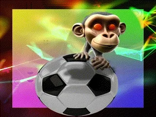 Gold aPe viDeo Club
