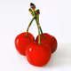 Culinary & Fruit Fine Art