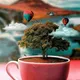 cup