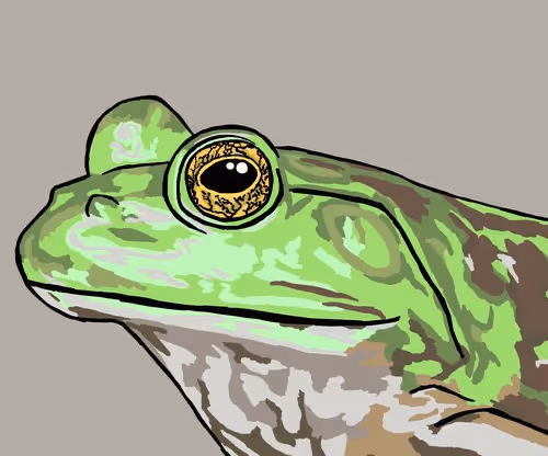 Curated Wildlife