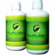 Cure for Bad Breath V2