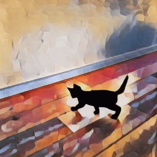 Curious cats forever