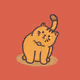Curious Catty