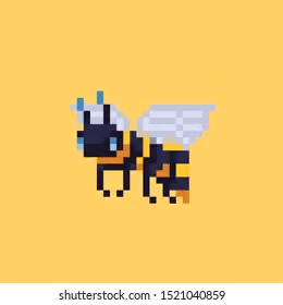 Curious Pixel Collection #P0001